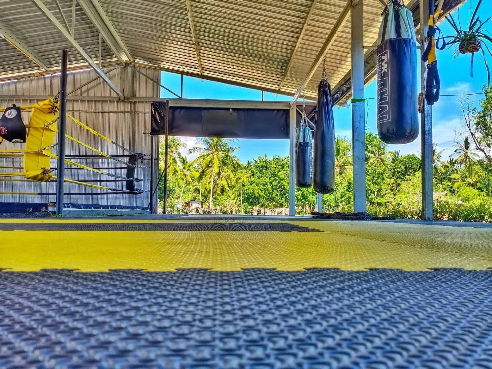 M19 Muay Thai - Image 10