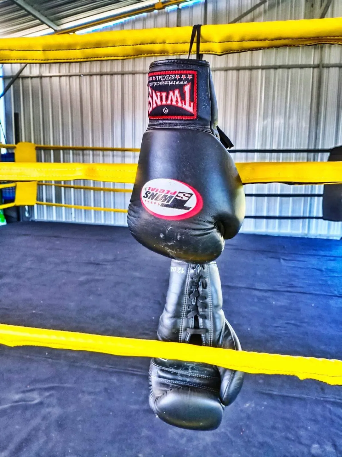 M19 Muay Thai - Image 6