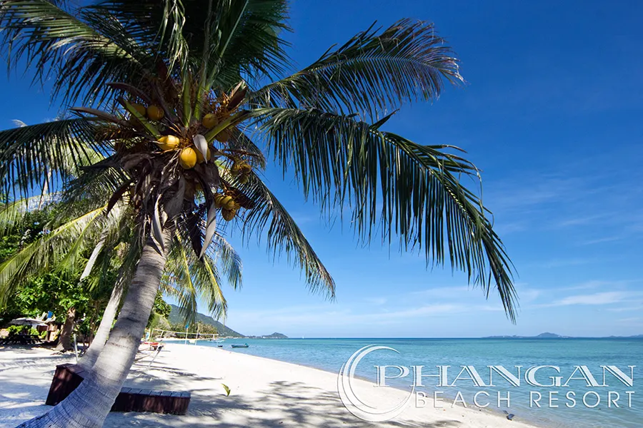 Phangan Beach Resort - Image 7