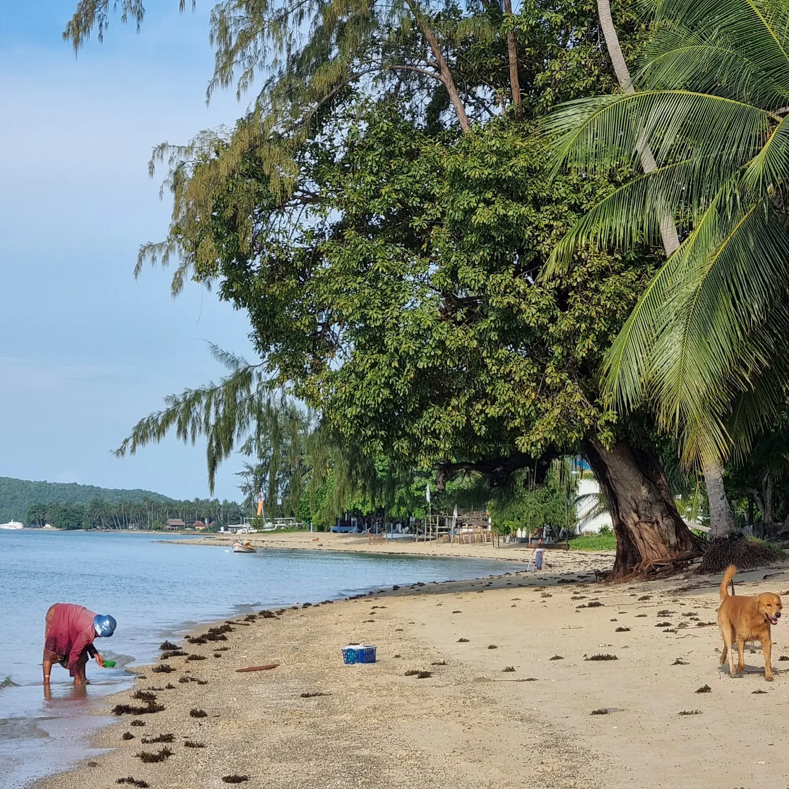 Phangan Beach Resort - Image 8